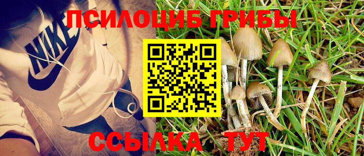 Галлюциногенные грибы мухоморы Всеволожск
