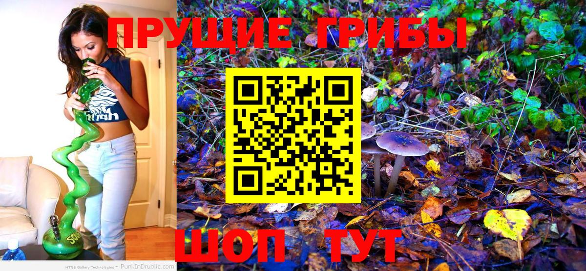 Галлюциногенные грибы прущие грибы  Вход с VPN  Всеволожск 
